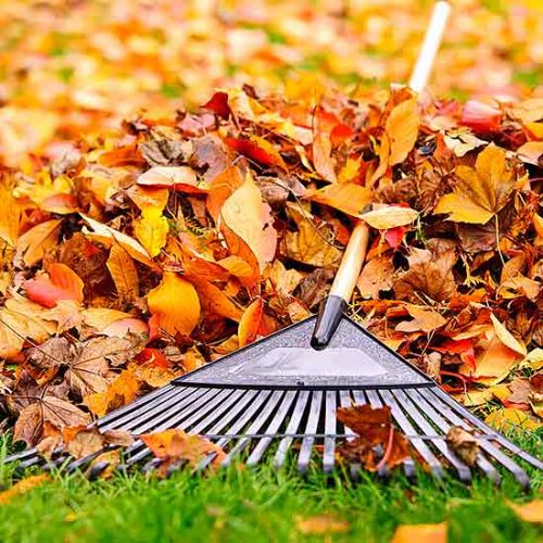 Fall is Coming